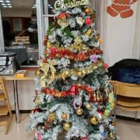 クリスマスツリー