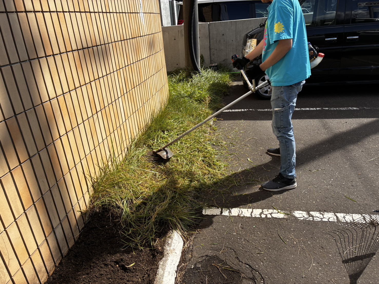 草刈りの様子