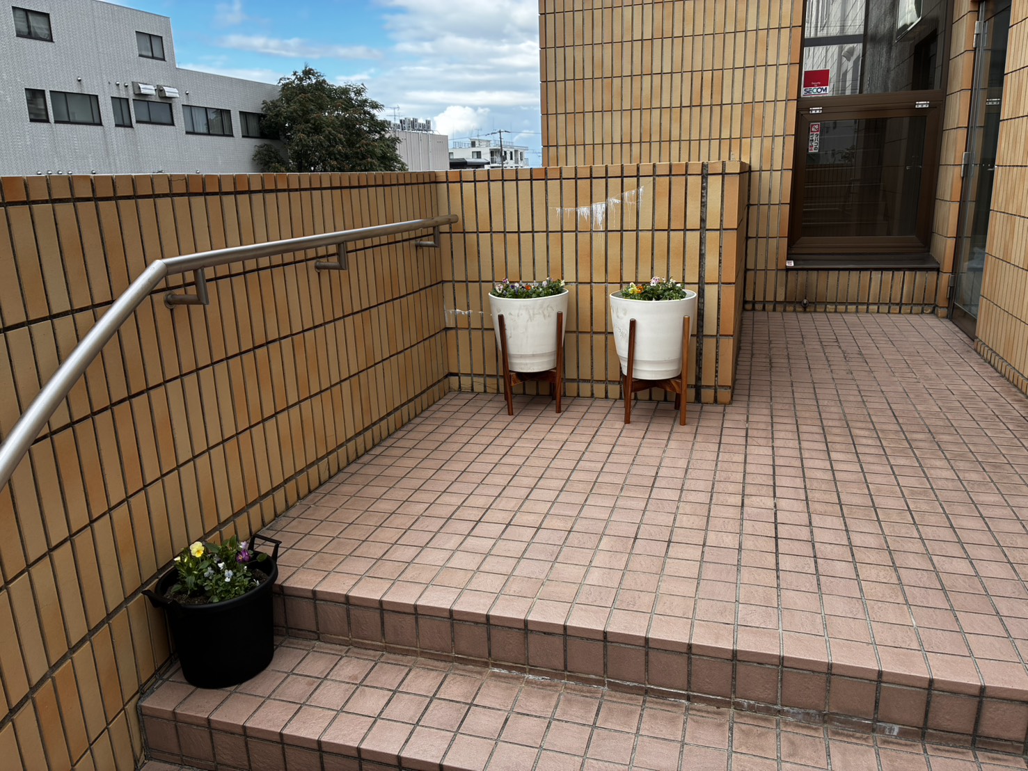 玄関前に並べた鉢植え
