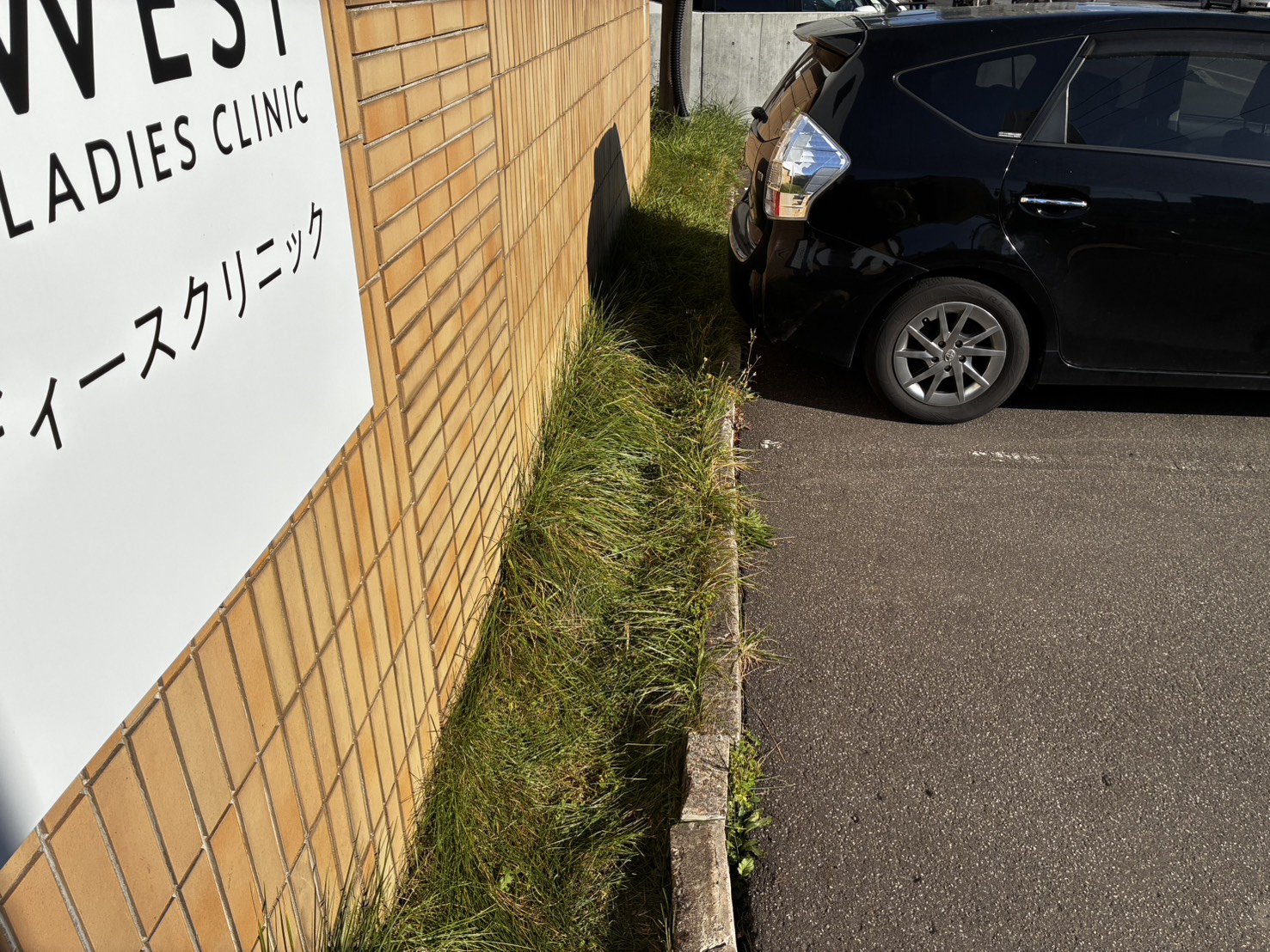 作業前の花壇